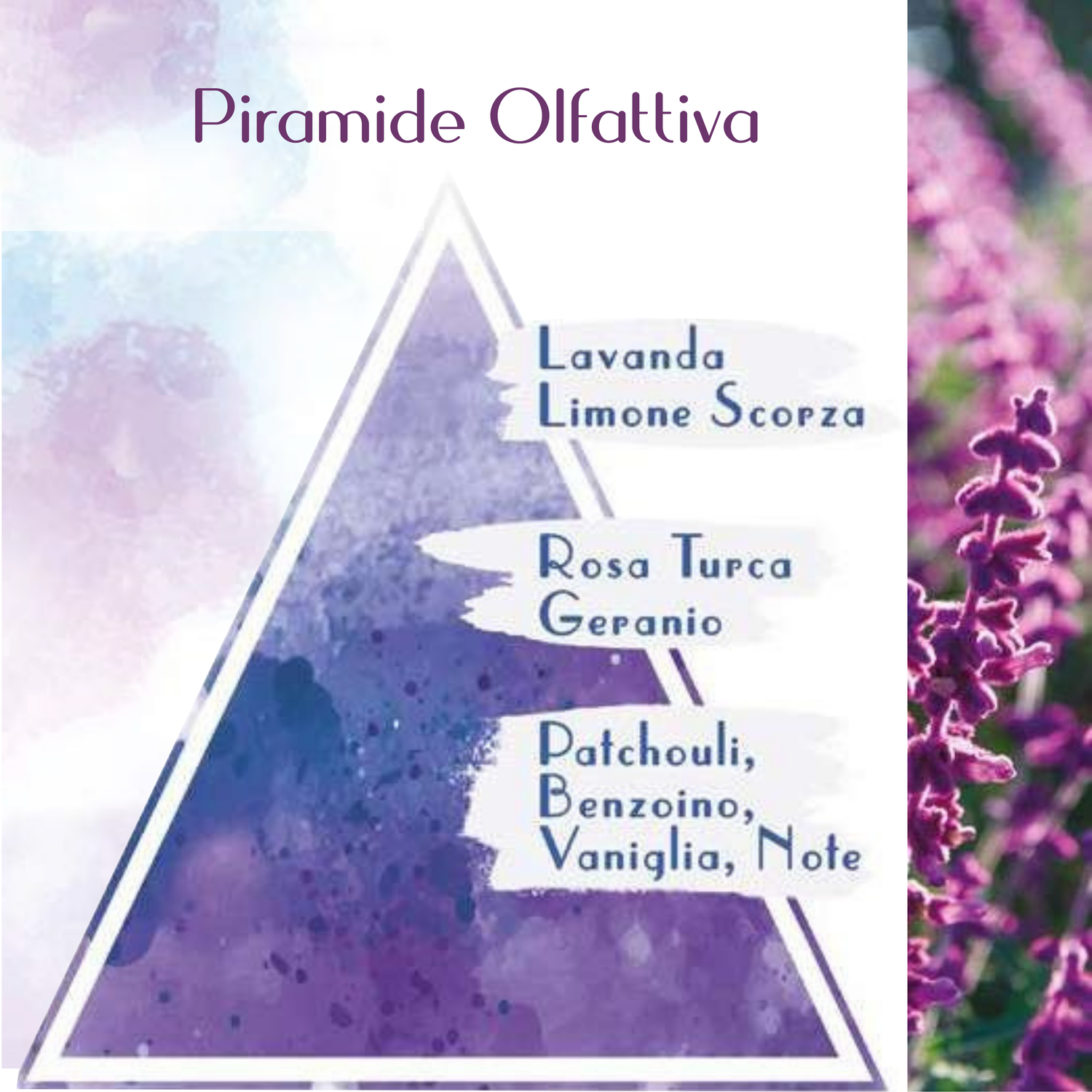 SAPONE LIQUIDO ALLA LAVANDA TOSCANA