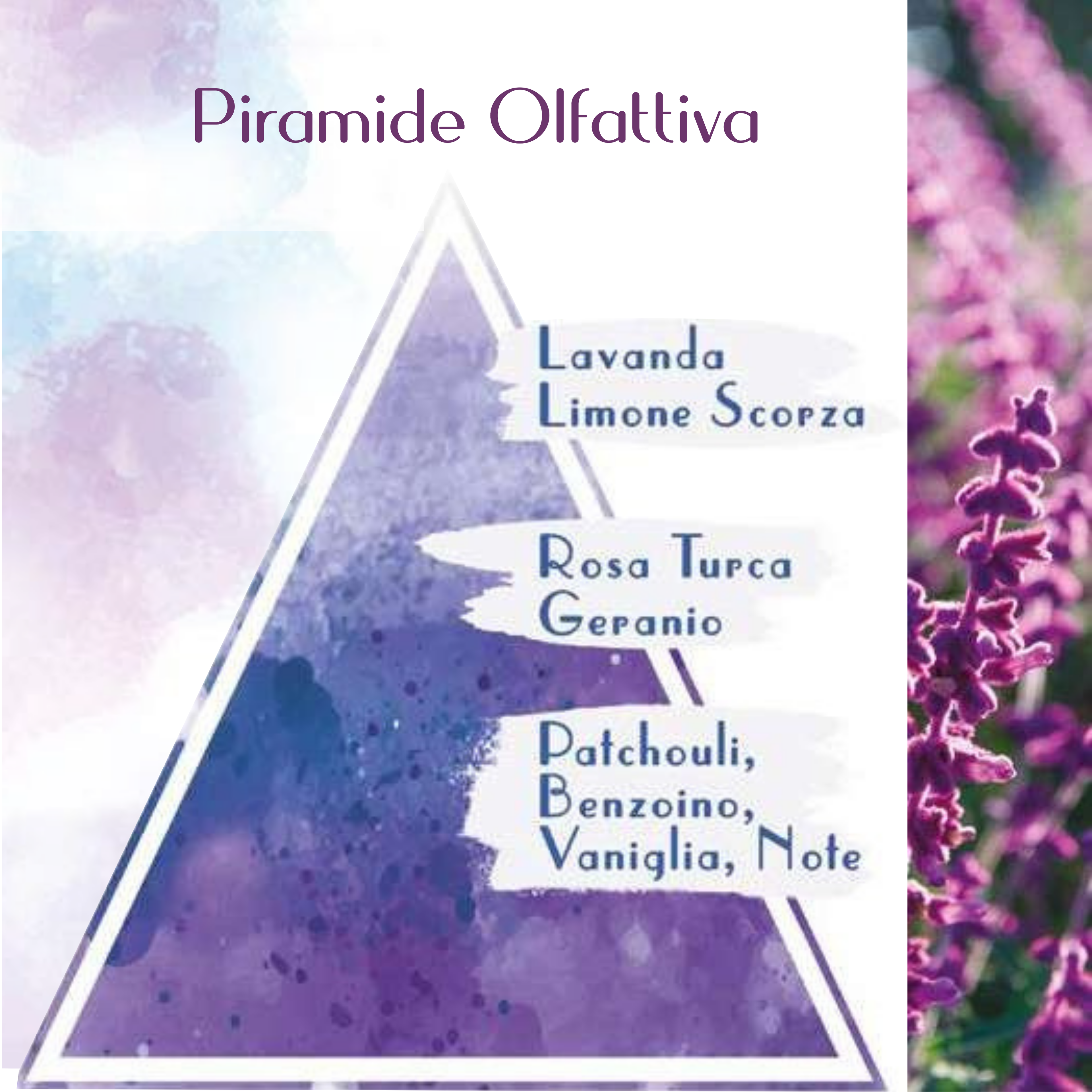 SAPONE LIQUIDO ALLA LAVANDA TOSCANA