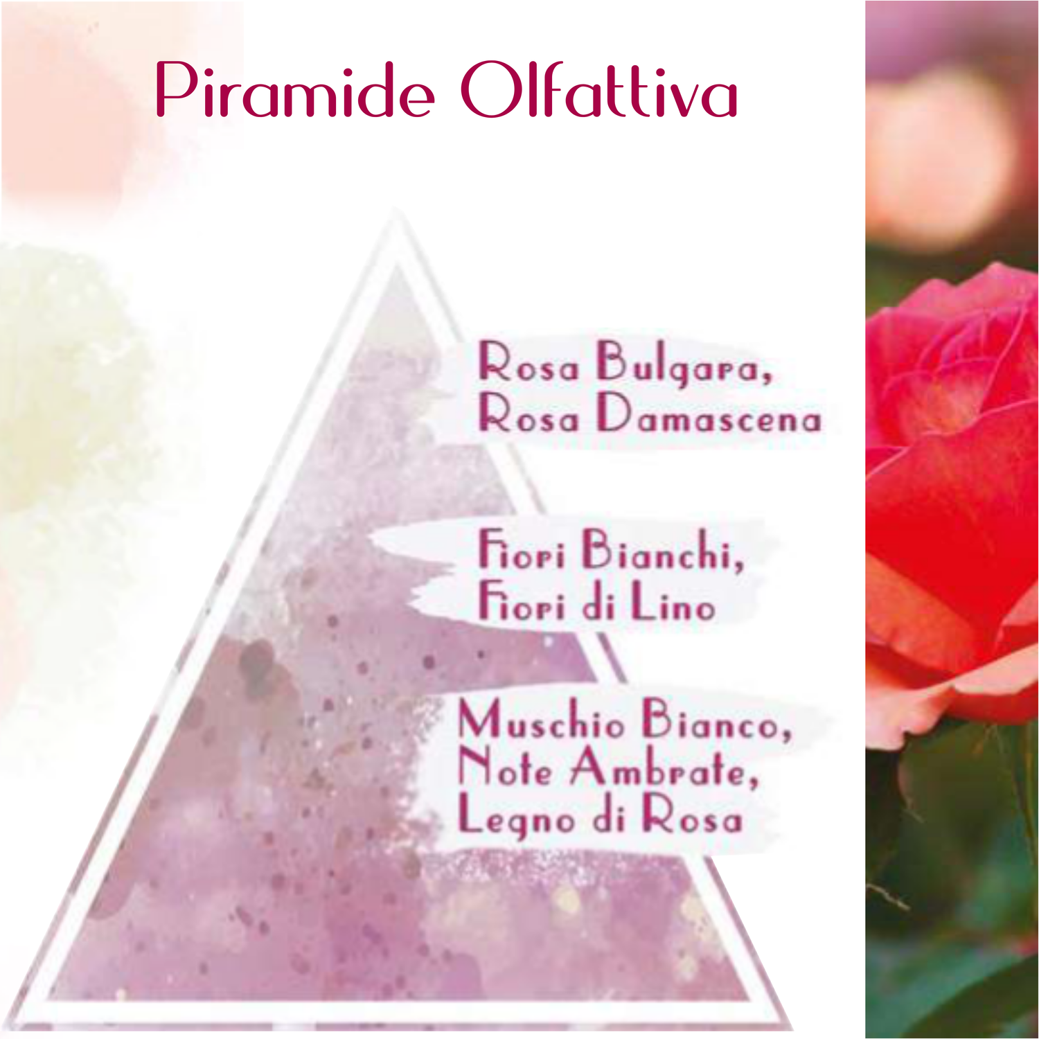 SAPONE LIQUIDO ALLA ROSA LIGURE