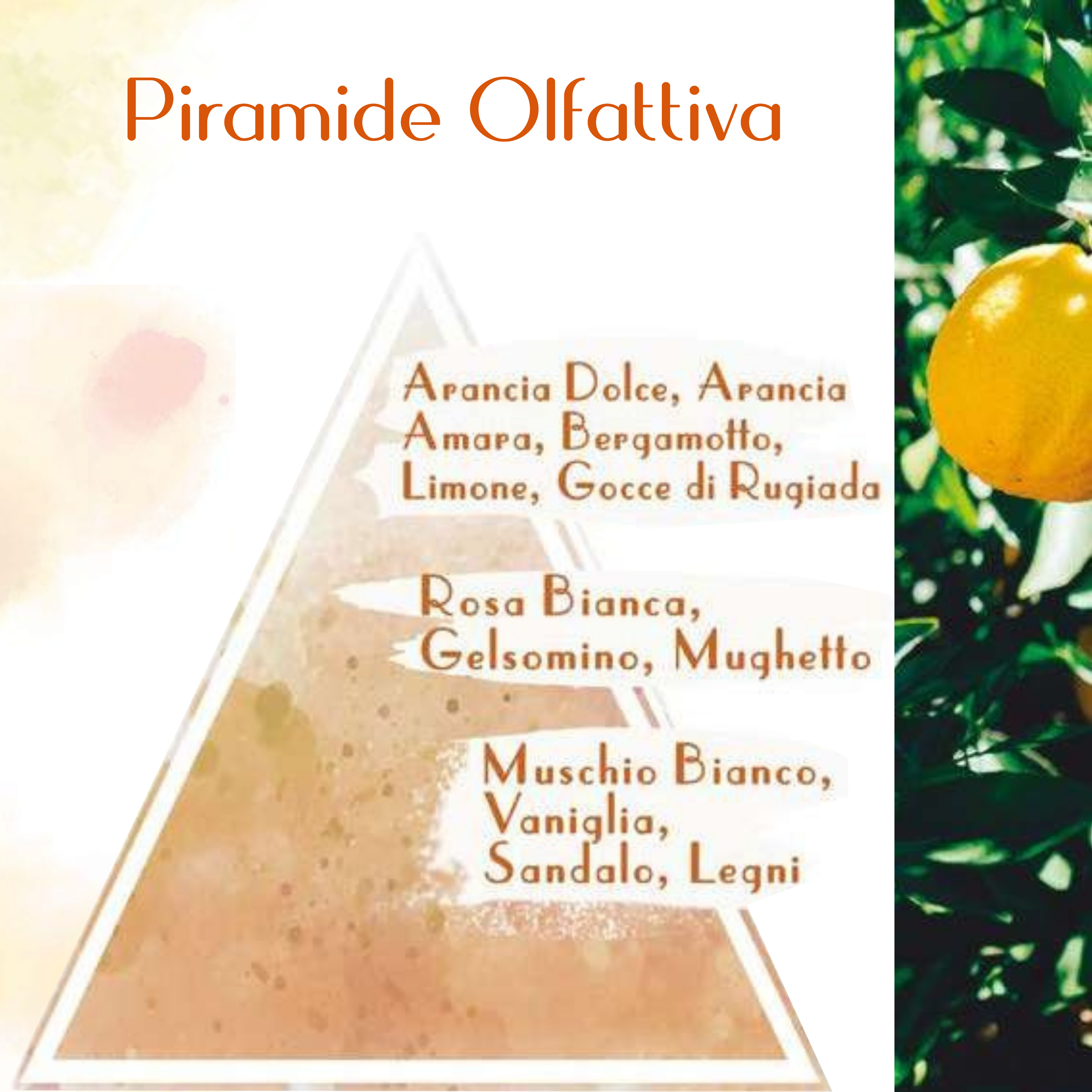 BAGNO DOCCIA AGLI AGRUMI DI SICILIA